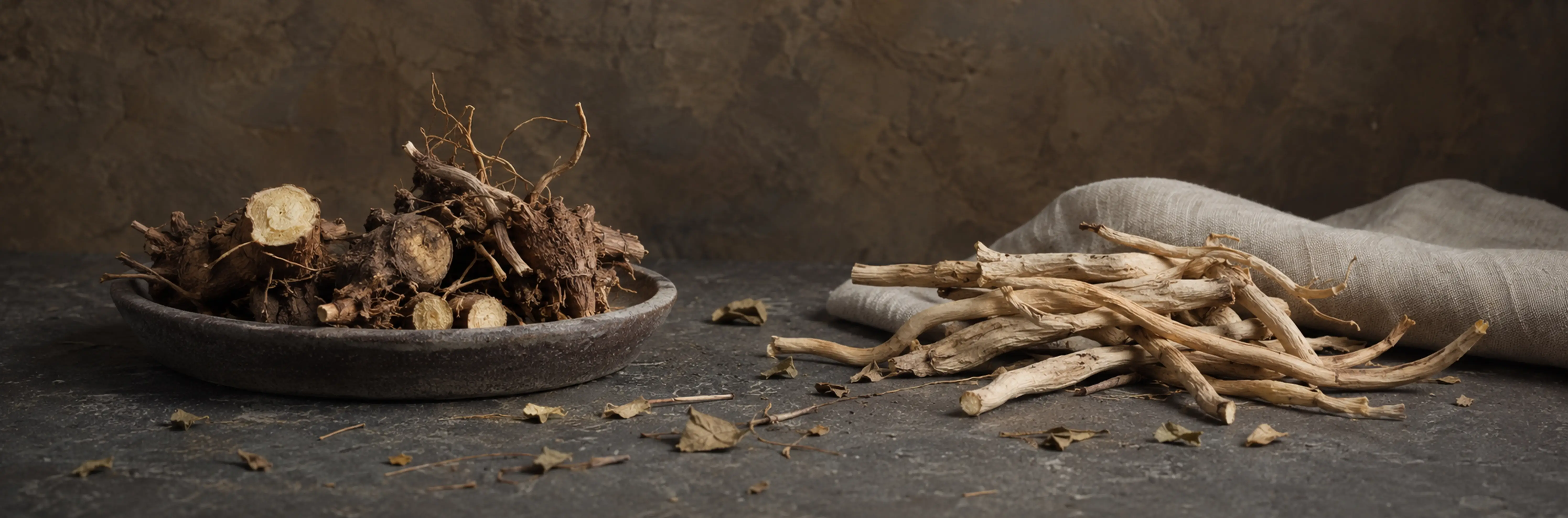 Dark and pale botanical roots arranged on a textured surface with a ceramic bowl and linen cloth